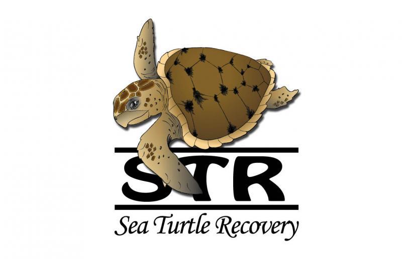 https://staging.jenkinsons.com/aquarium/wp-content/uploads/sites/2/2018/04/Sea-Turtle-Recovery.jpg